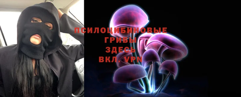 OMG рабочий сайт  сколько стоит  Кандалакша  Псилоцибиновые грибы Cubensis 